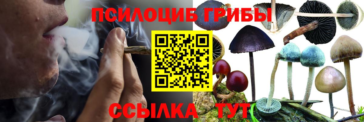 Галлюциногенные грибы прущие грибы Калуга